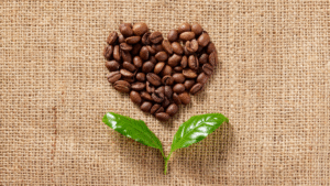 Geröstete Kaffeebohnen in Herzform auf Jutegewebe mit Kaffeeblättern